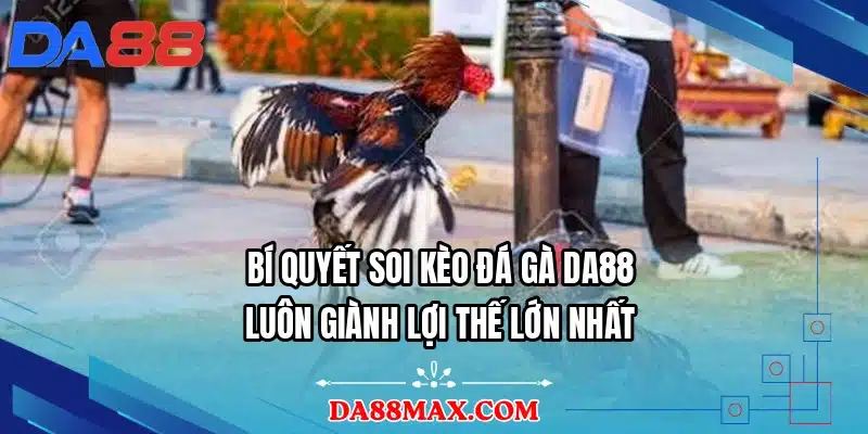 Bí quyết soi kèo đá gà DA88 luôn giành lợi thế lớn nhất