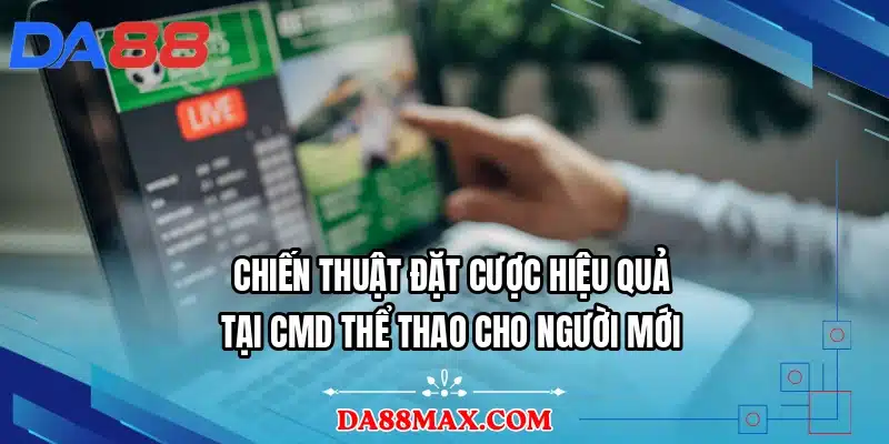 Chiến thuật đặt cược hiệu quả tại CMD thể thao cho người mới