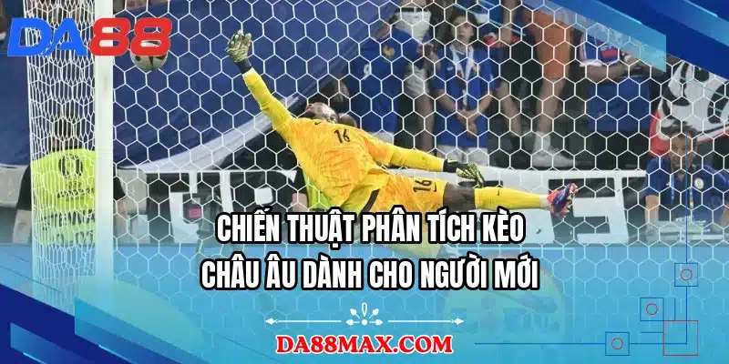 Chiến thuật phân tích kèo Châu Âu dành cho người mới