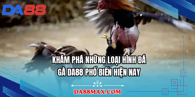 Khám phá những loại hình đá gà DA88 phổ biến hiện nay