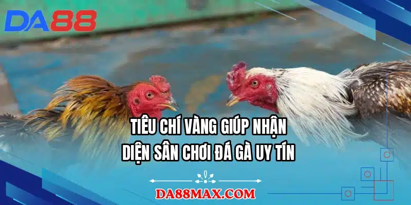 Tiêu chí vàng giúp nhận diện sân chơi đá gà uy tín