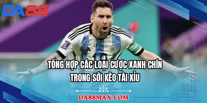 Tổng hợp các loại cược xanh chín trong sới kèo tài xỉu