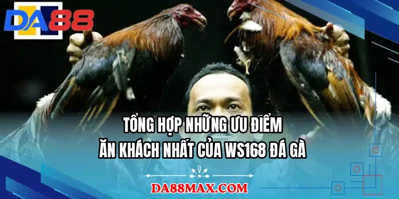 Tổng hợp những ưu điểm ăn khách nhất của WS168 đá gà